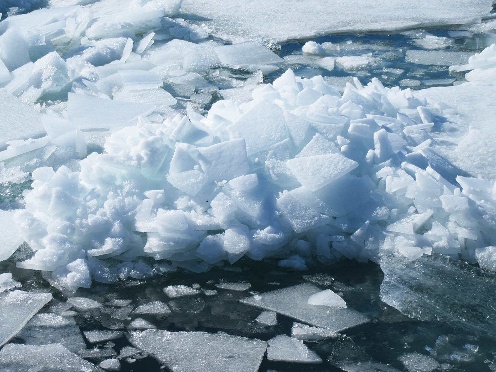 Ice cubes. Glacier lagoon Jokulsarlon. Credit: Carolina Valenzuela