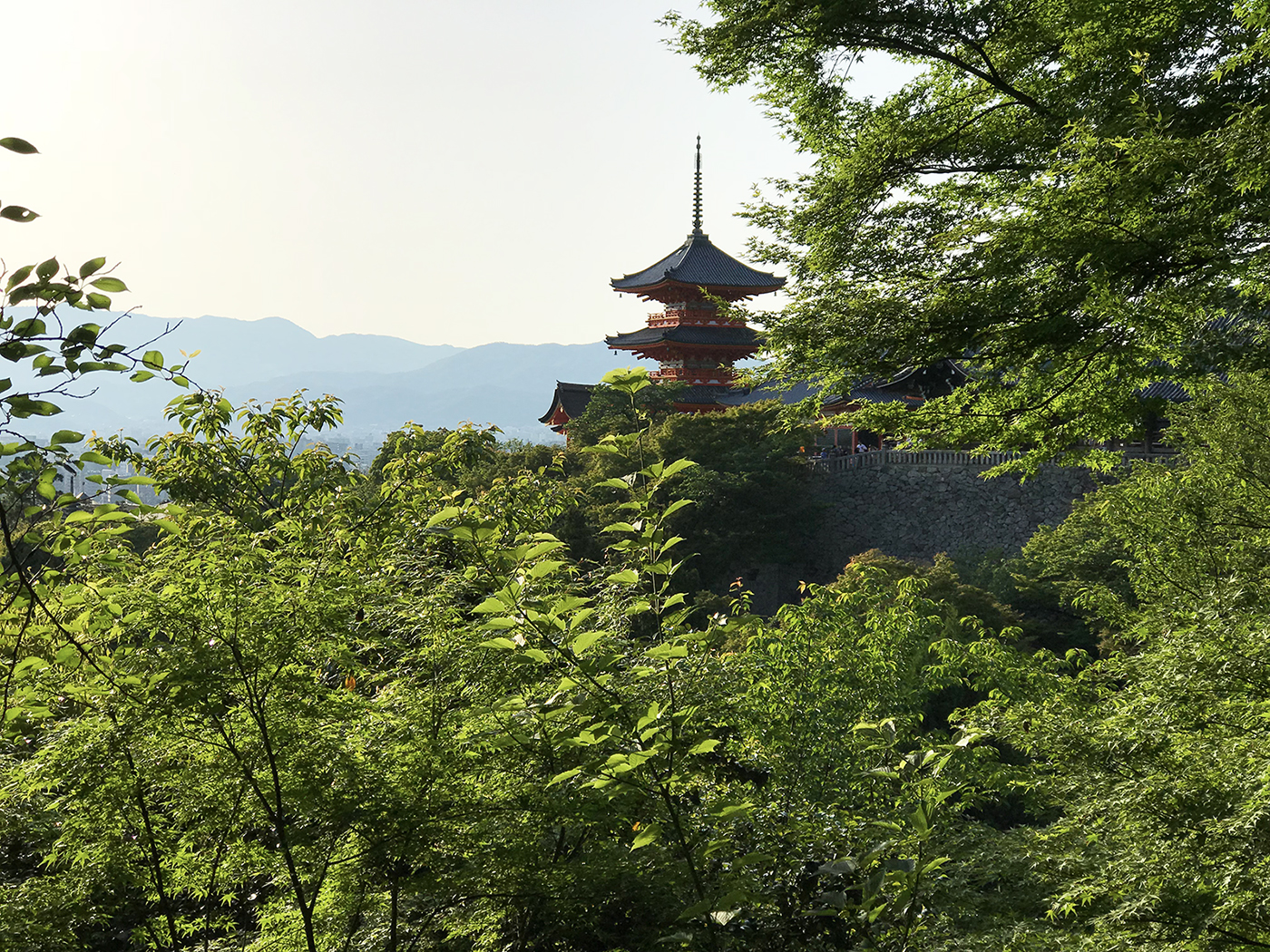 Kiyomizudera Temple. Kyoto, Japan. Credit: Carolina Valenzuela