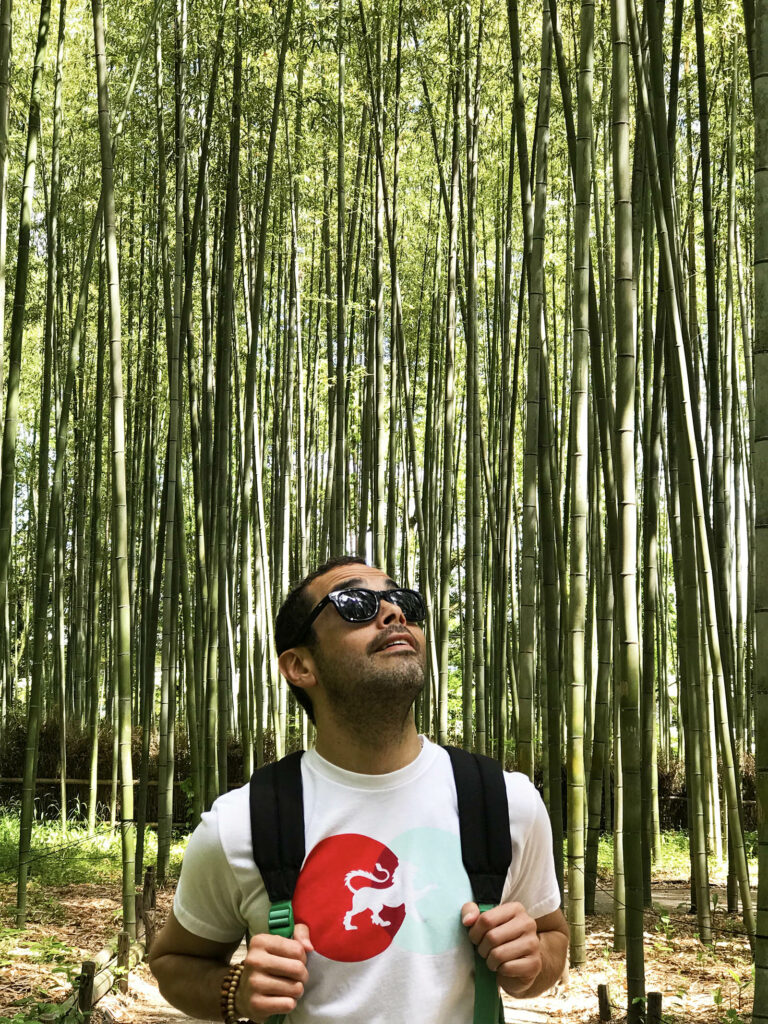 Arashiyama bamboo forest in Kyoto