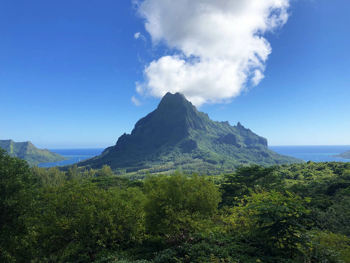 View on our way to the Belvedere lookout. Credit: Christian Bergara