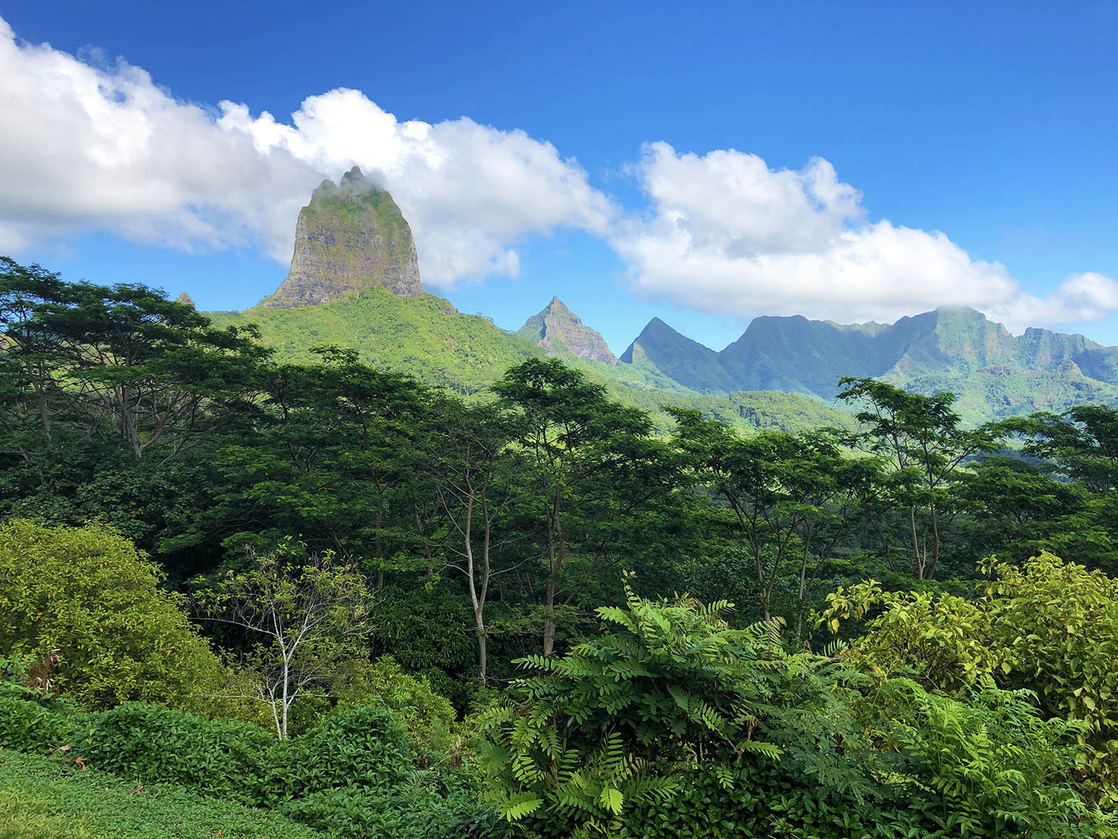 Stunning landscape in Moorea. Credit: Carolina Valenzuela