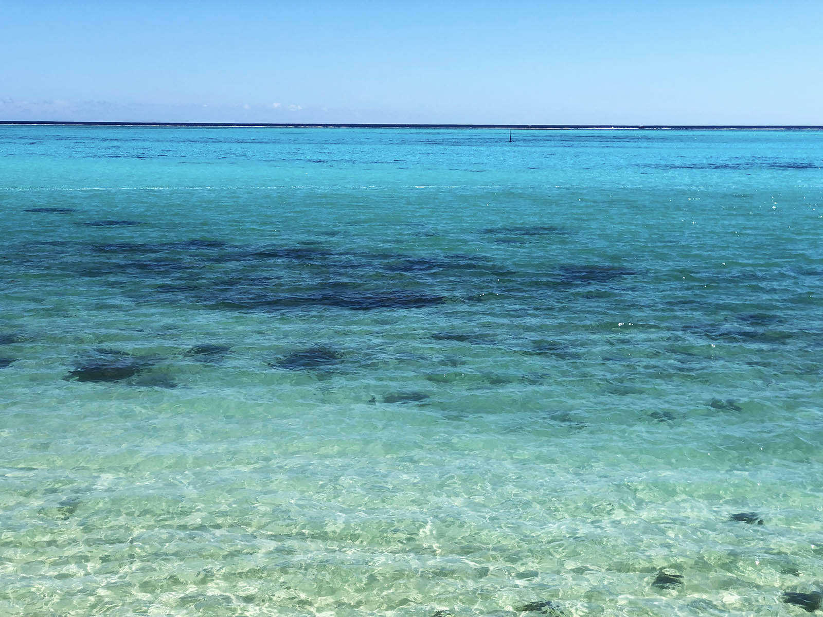 Turquoise sea in Moorea. Credit: Carolina Valenzuela