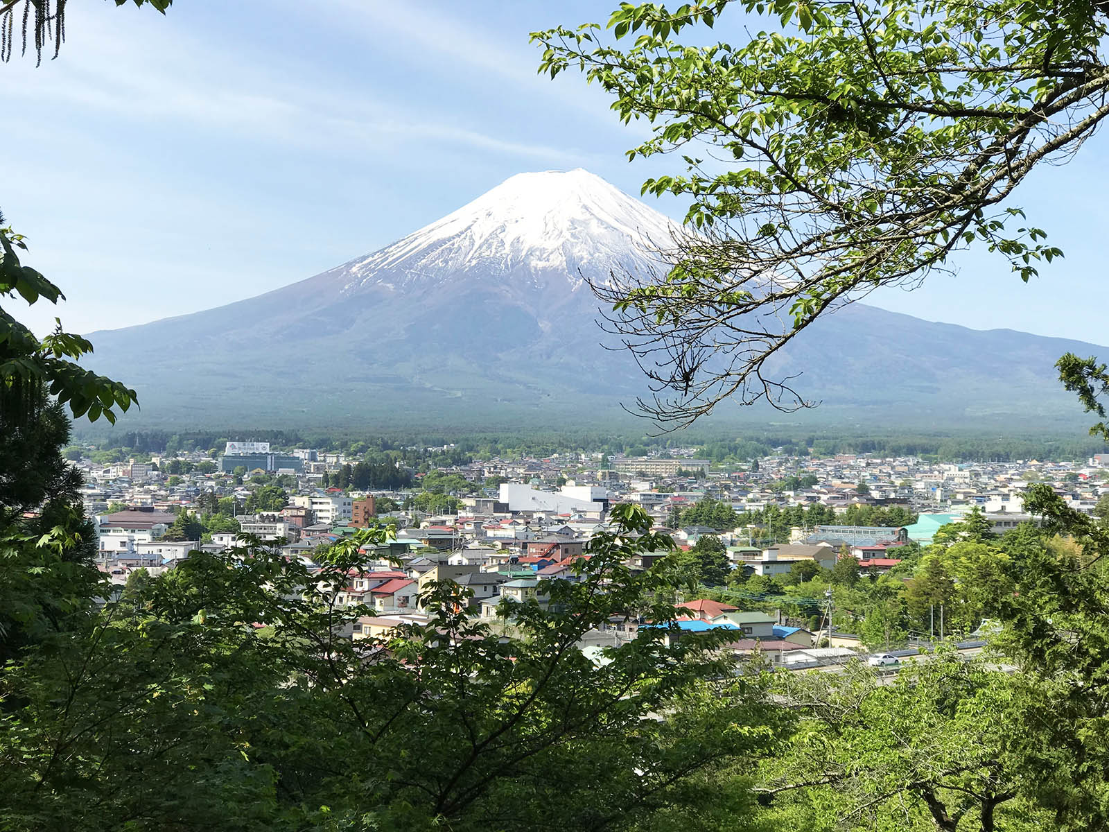 The majestic Mt Fuji. Credit: Carolina Valenzuela