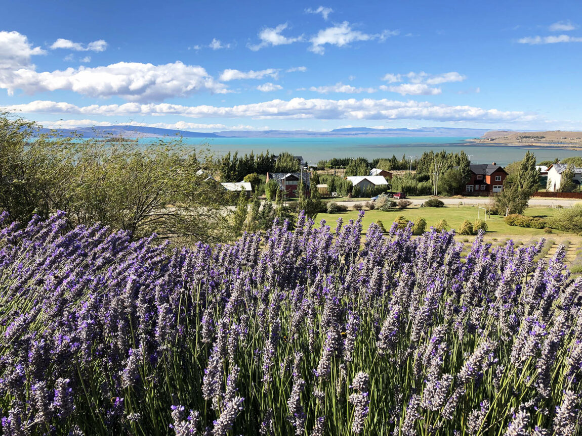 View from Blanca Patagonia Boutique Inn and Cabins. Credit: Carolina Valenzuela