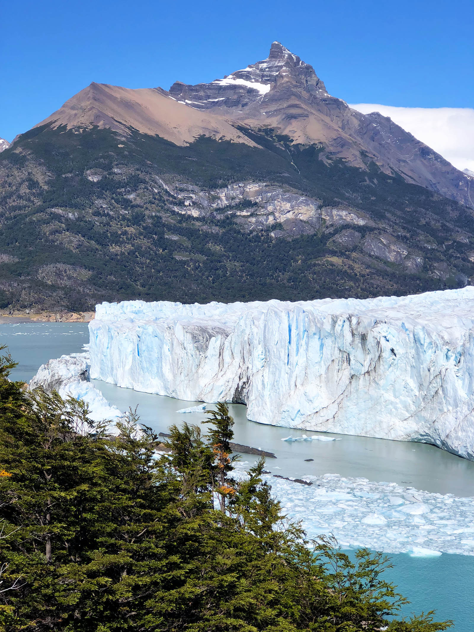 The spectacular Perito Moreno glacier. Credit: Carolina Valenzuela