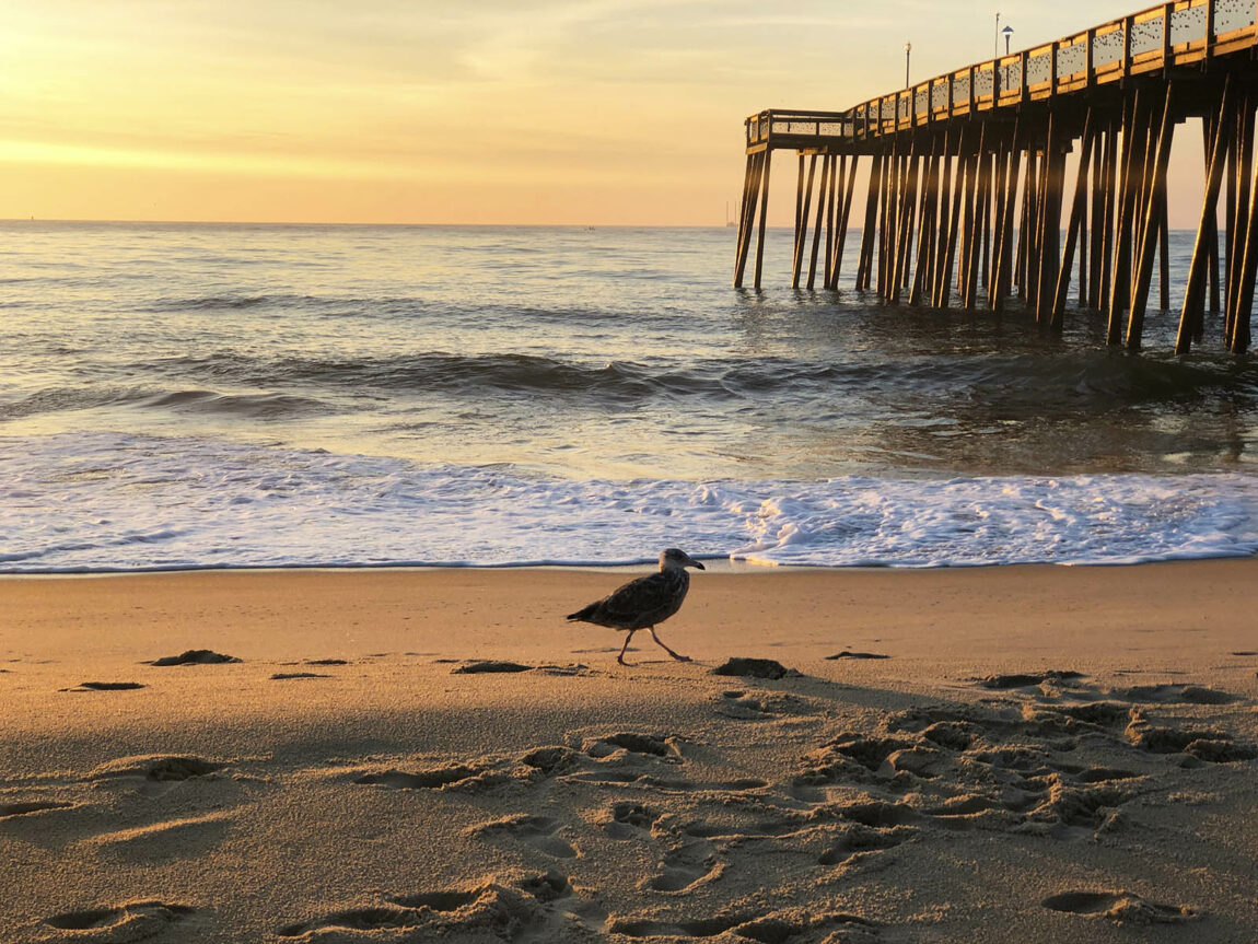 Ocean City pier. Credit: Carolina Valenzuela