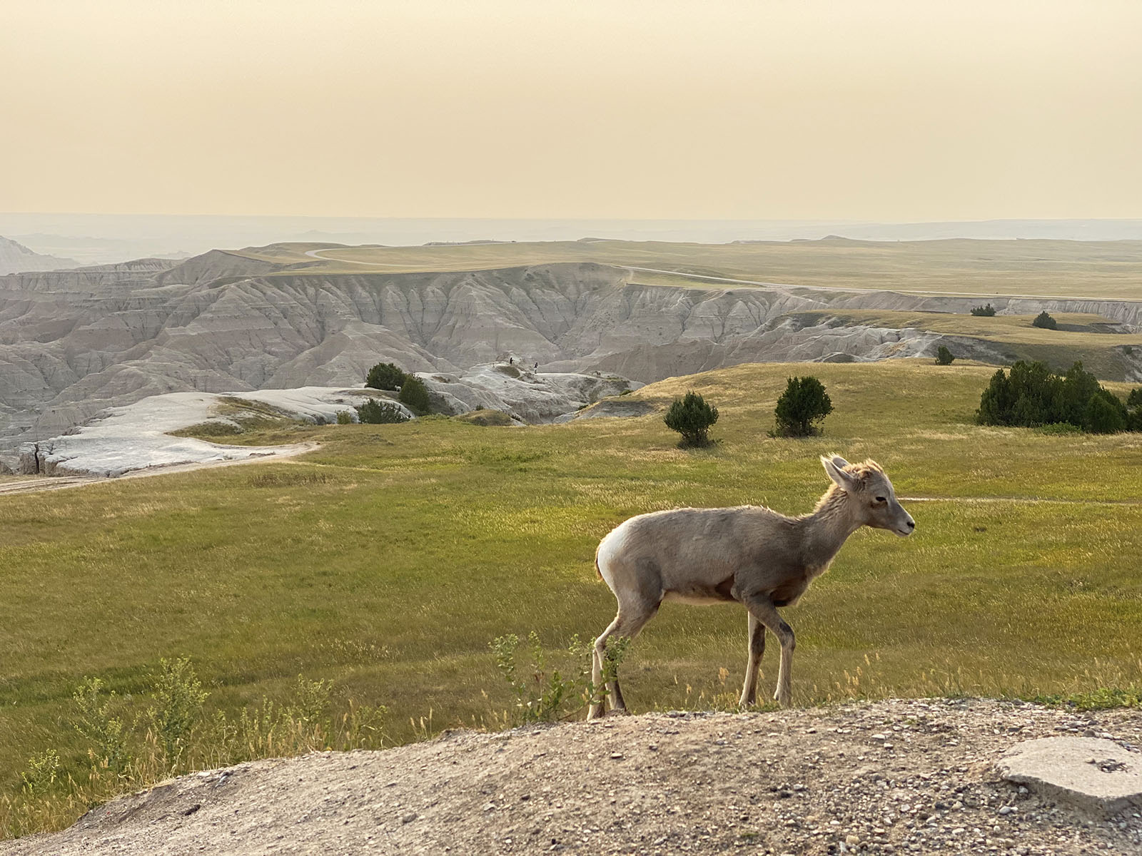 Pinnacles Overlook. Badlands National Park, South Dakota. Credit: Christian Bergara