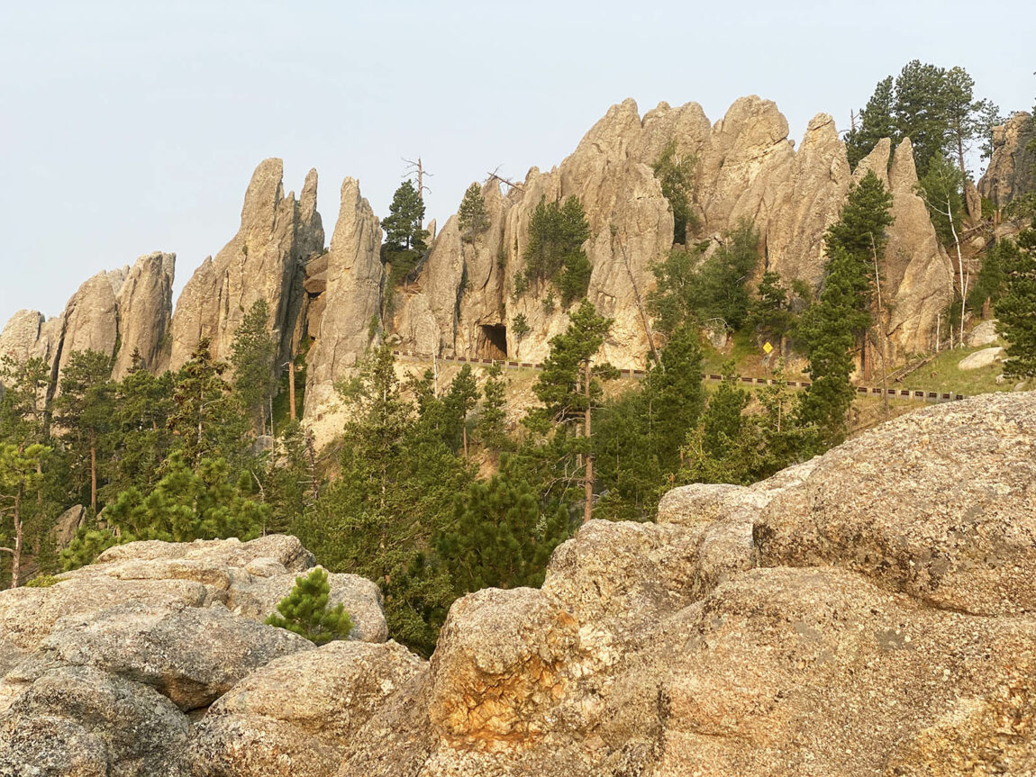 are dogs allowed custer state park