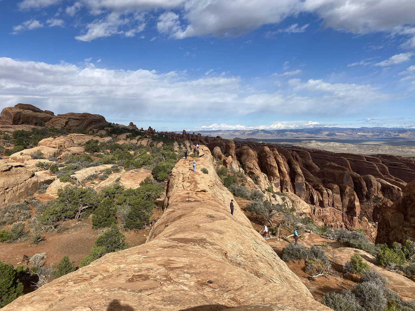 Devils garden trail in Arches National Park, Utah. Credit: Carolina Valenzuela