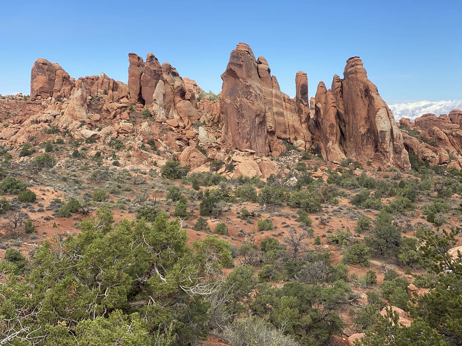 Devils garden trail in Arches National Park, Utah. Credit: Carolina Valenzuela